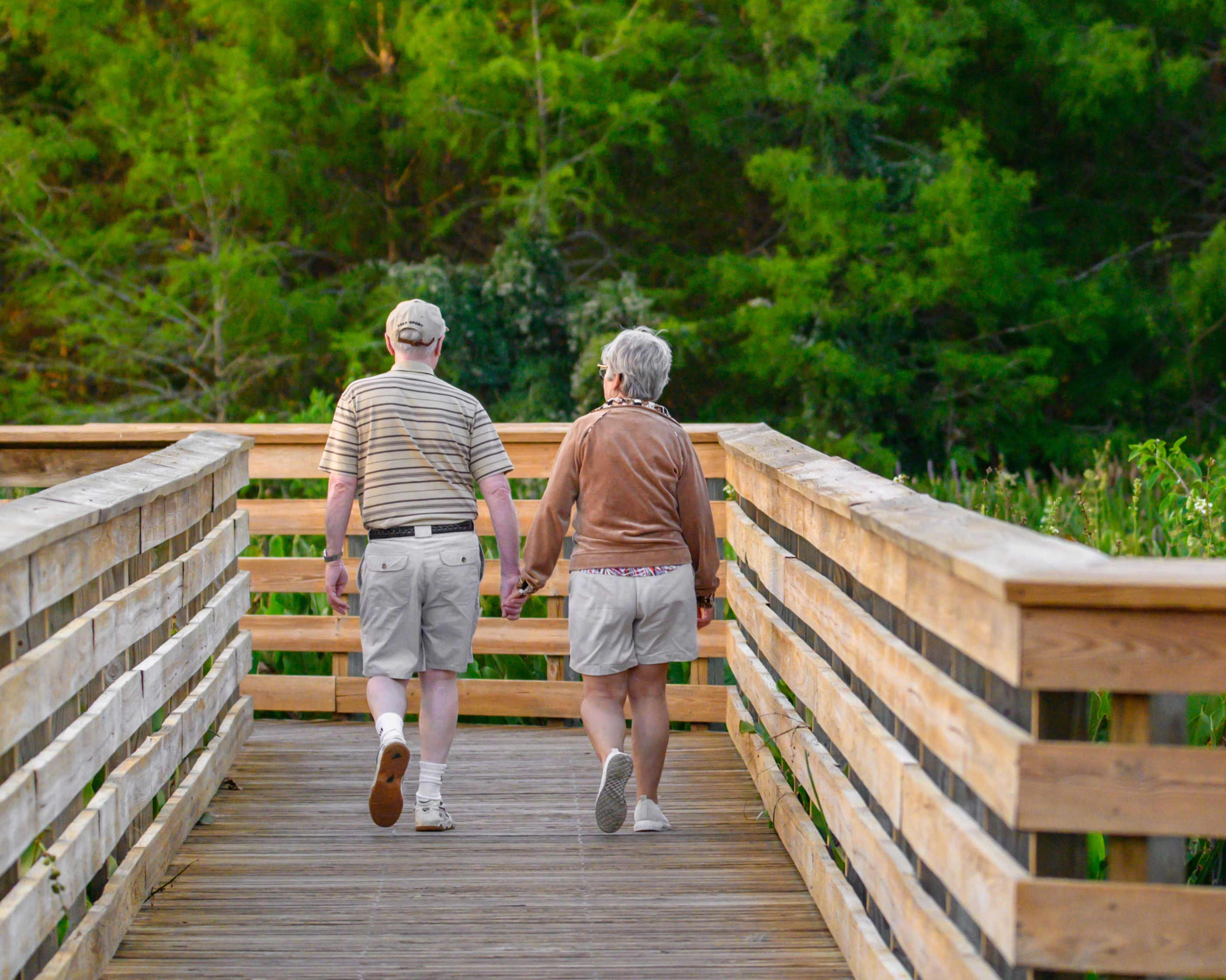 Aging & Adult Services